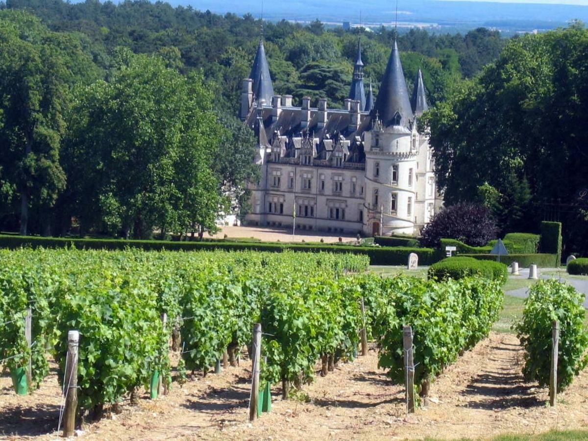 Gite Des Chaumiennes Pouilly-sur-Loire Εξωτερικό φωτογραφία