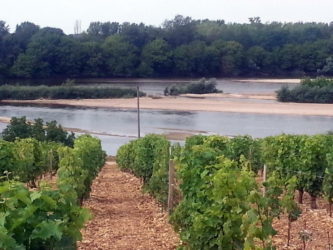 Gite Des Chaumiennes Pouilly-sur-Loire Εξωτερικό φωτογραφία