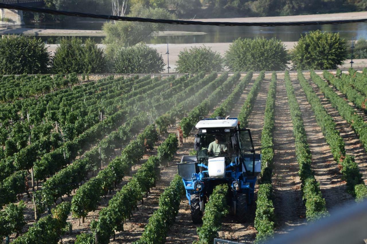 Gite Des Chaumiennes Pouilly-sur-Loire Εξωτερικό φωτογραφία